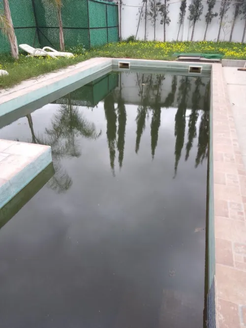 Nettoyage piscine (traitement d'eau)