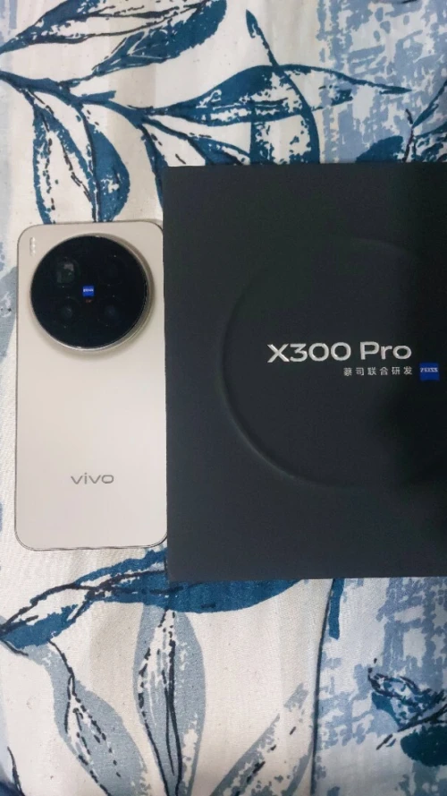 Vivo Vivo X300 Pro