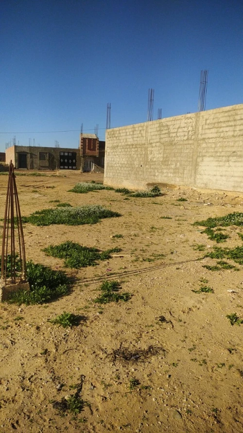 Vente Terrain Batna Barika