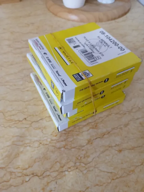 Segments logan symbole 1.4 et 1.6 std