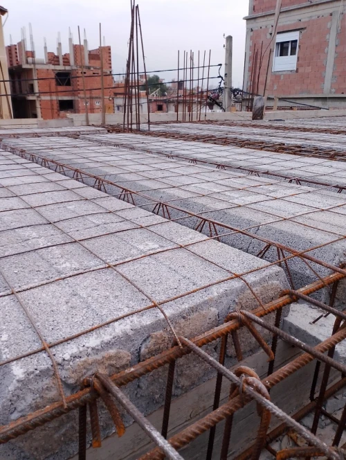 Vente bien immobilier Blida Bougara