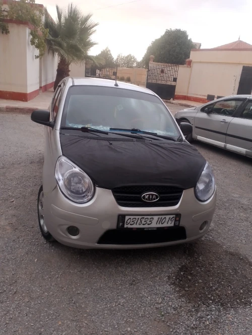 Kia Picanto 2010 Vany
