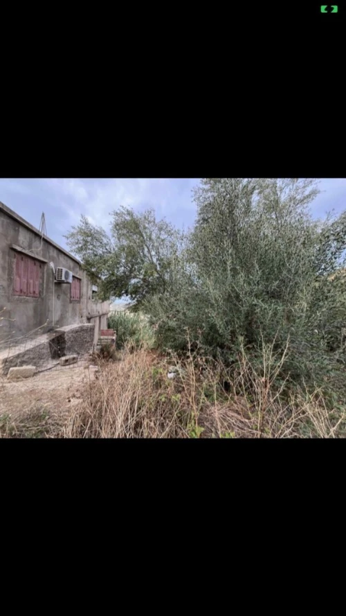 Vente Terrain Skikda Collo