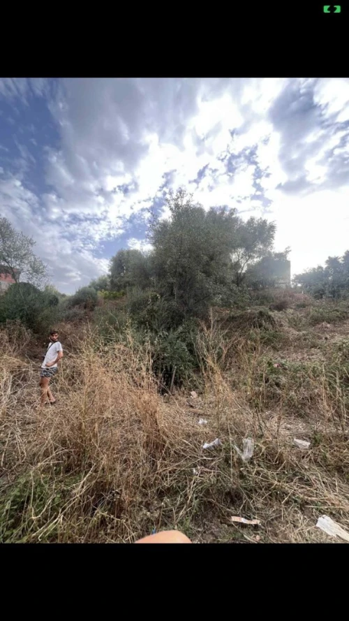 Vente Terrain Skikda Collo
