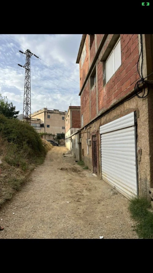 Vente Terrain Skikda Collo