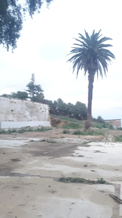 Vente Terrain Alger Bouzareah