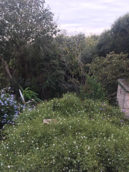 Vente Villa Alger Hydra
