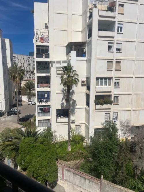 Location Appartement F3 Alger Chevalley