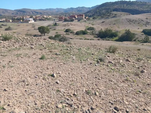 Vente Terrain Béjaïa Boudjellil
