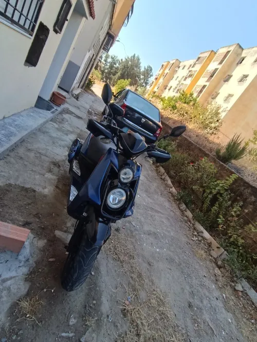 Okinoi Bws 