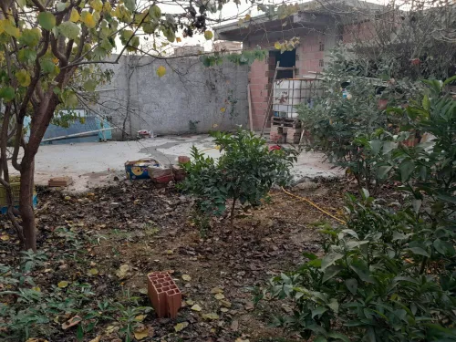 Vente Carcasse Boumerdès Ouled hedadj