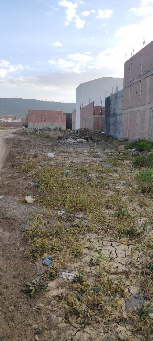 Vente Terrain Batna Tazoult