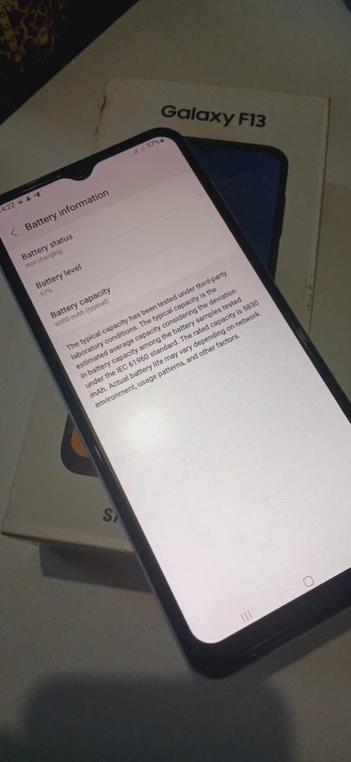Samsung Galaxy F13