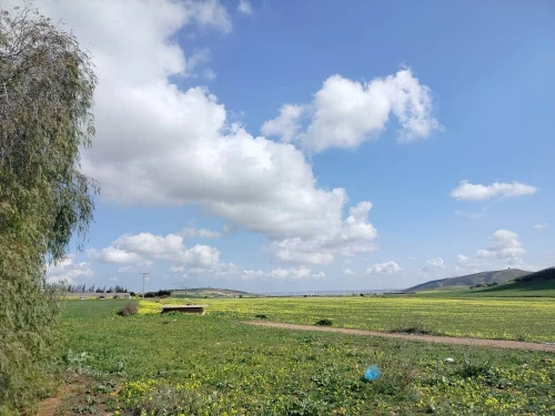 Vente Terrain Agricole Oran Boufatis