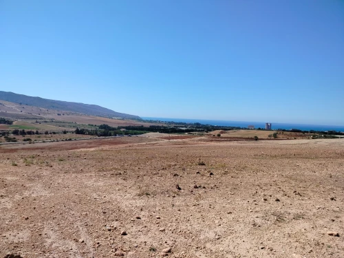 Vente Terrain Agricole Oran El ançor
