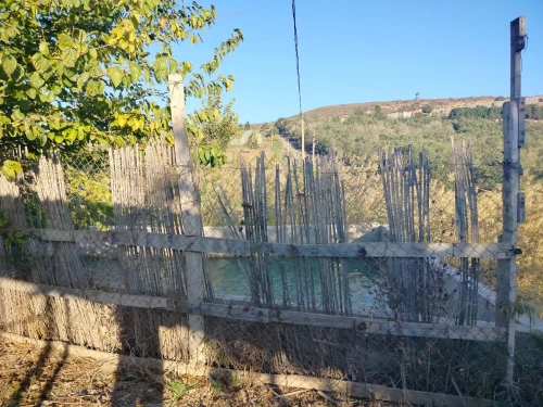 Vente Terrain Agricole Oran Ain el kerma