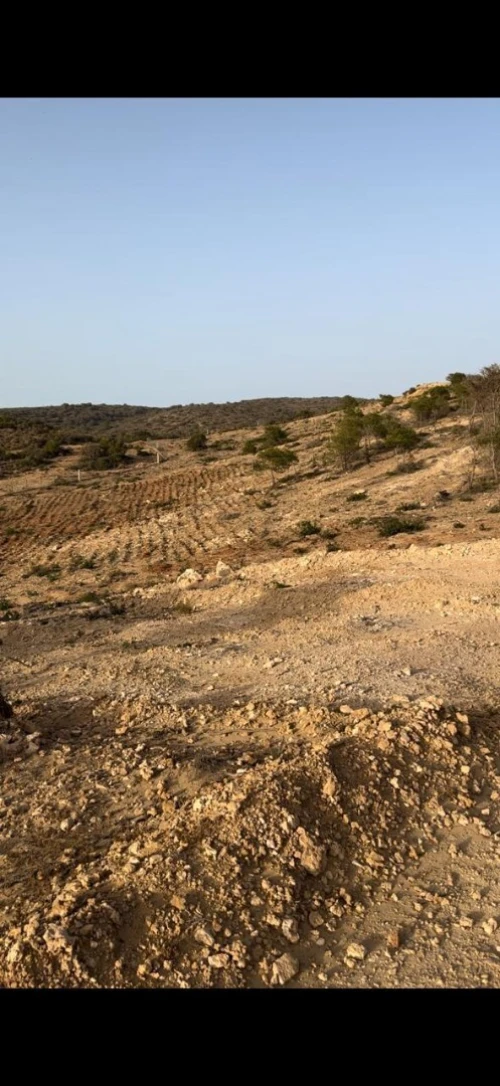 Vente Terrain Agricole Oran Ain el kerma