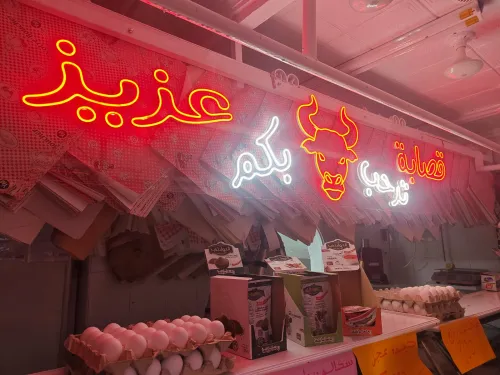 لوحات الليد سيليكون / PAANEAU LED SILICONE 