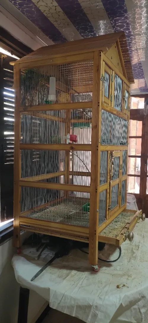 Cage volière 