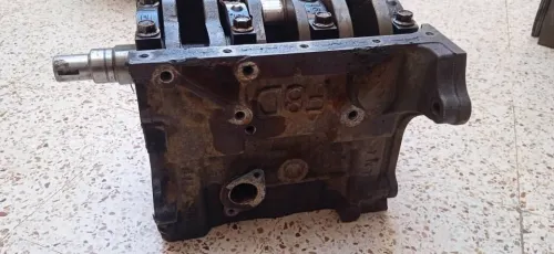 بني تامو البليدة