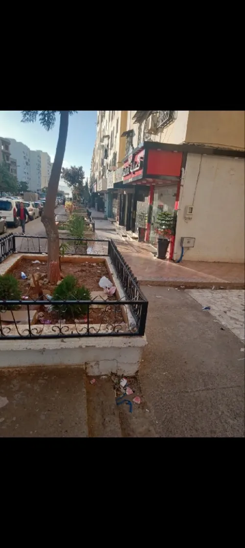 Location Local Alger Ain naadja