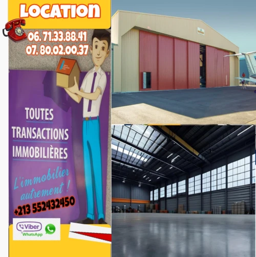 Location Hangar Alger Les eucalyptus