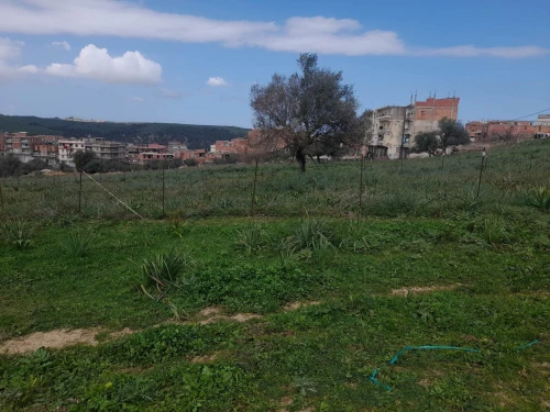 Vente Terrain Jijel Kaous