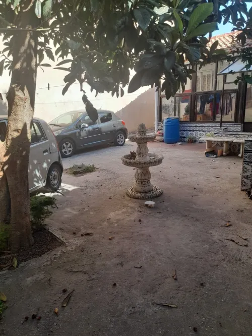 Vente Villa Alger El mouradia
