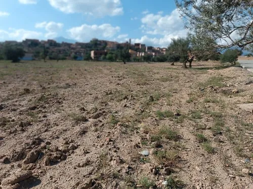 Vente Terrain Bouira Ath mansour taourirt