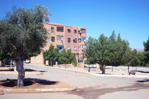 Vente Appartement F3 Mascara Sidi kada