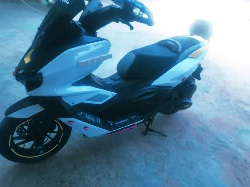 V max V max 