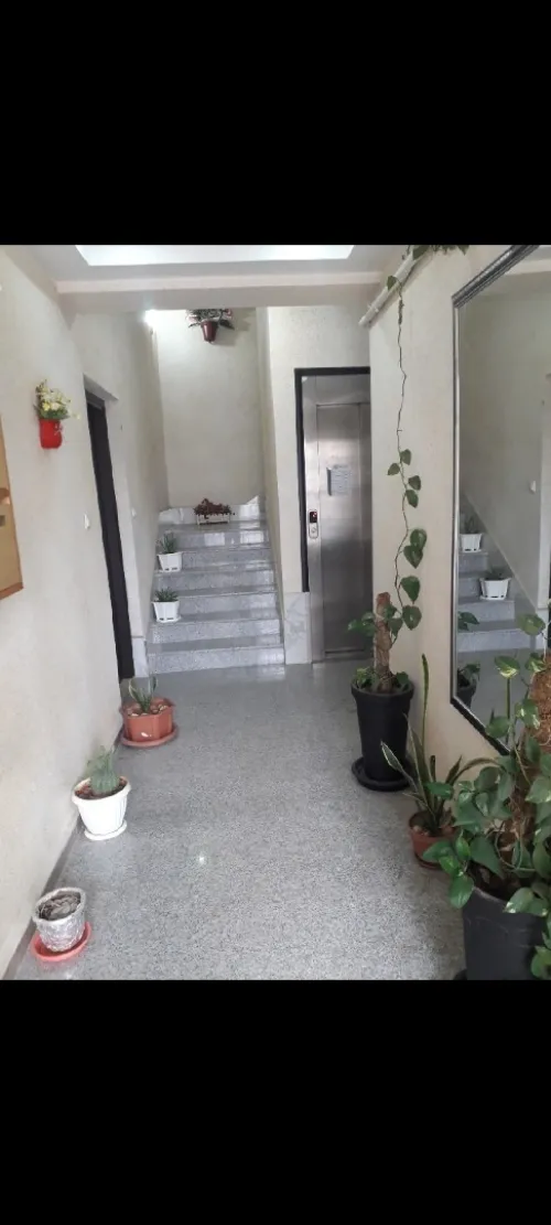 Location Appartement F3 Alger Beni messous