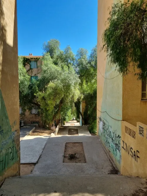 Vente Appartement F3 Tipaza Douaouda