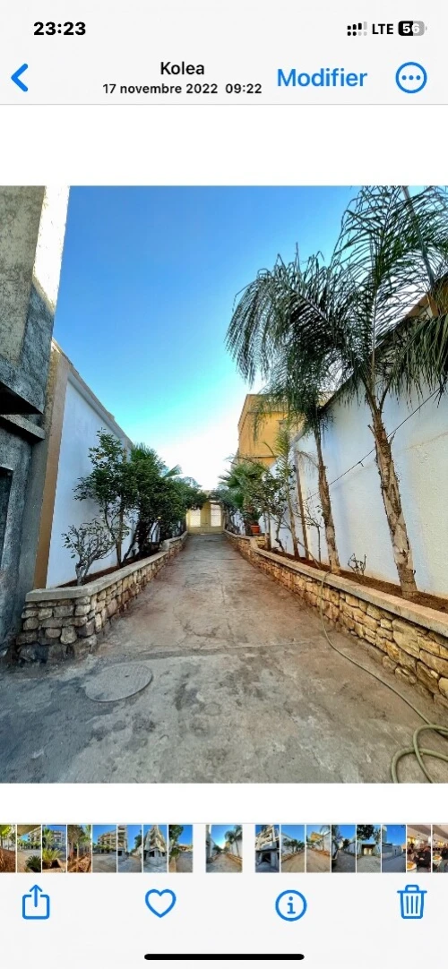 Vente Terrain Tipaza Kolea