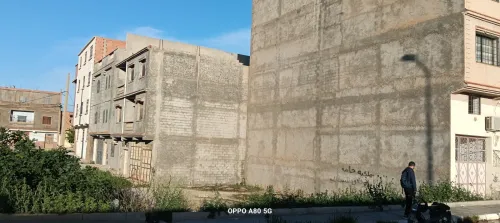 Vente Terrain Tlemcen Mansourah