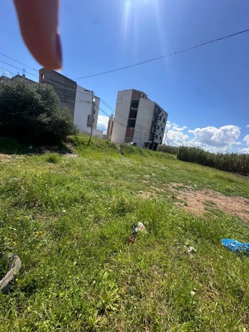 Vente Terrain Boumerdès Ouled hedadj
