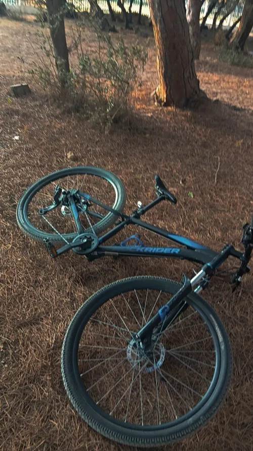 Vélo rockraider st120 original