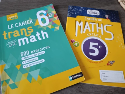Lot de livres scolaires internationaux