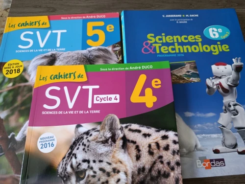 Lot de livres scolaires internationaux