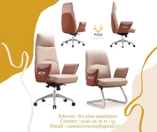 Fauteuil et chaise PDG
