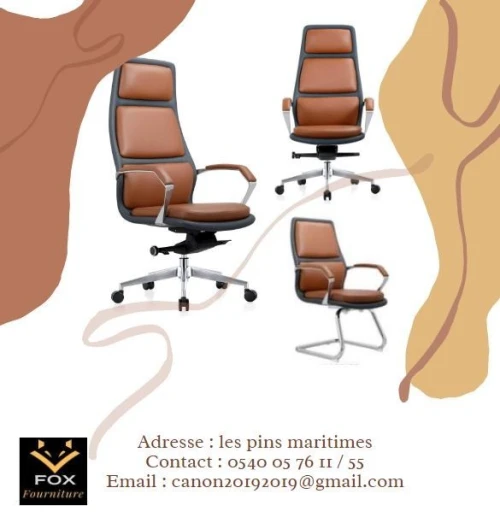 Fauteuil et chaise PDG