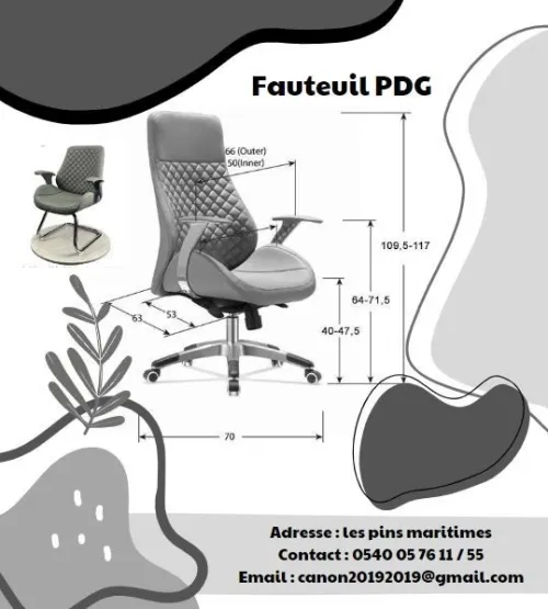 Fauteuil et chaise PDG