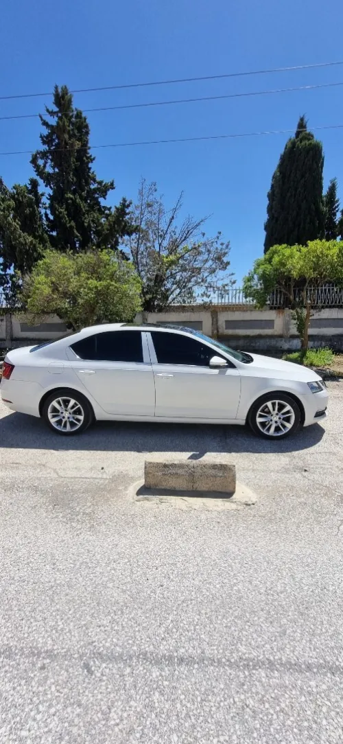 Skoda Octavia 2019 Sensation