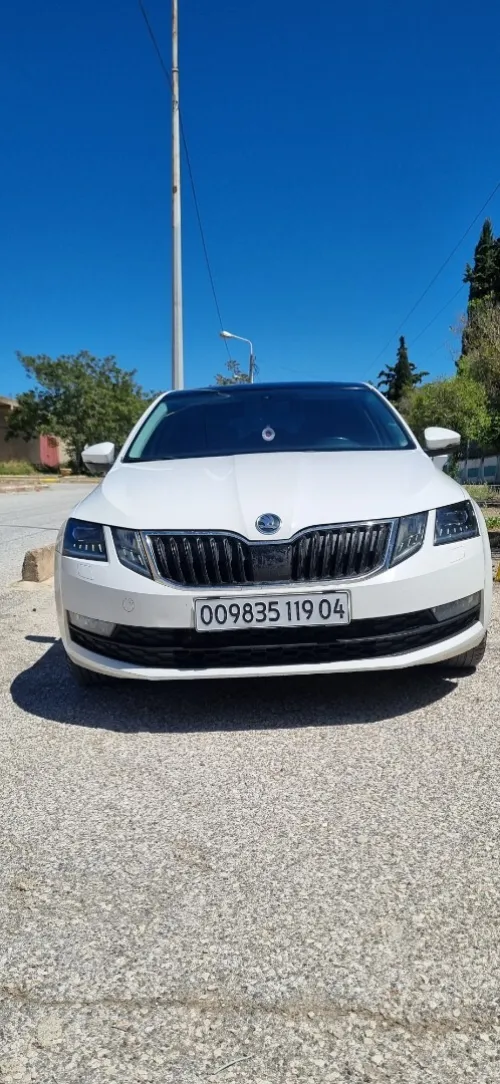 Skoda Octavia 2019 Sensation