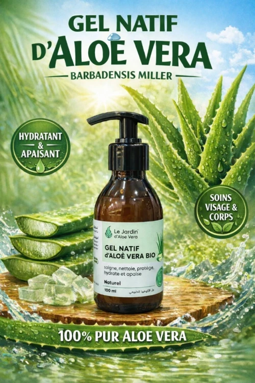 Gel natif d'Aloë Vera