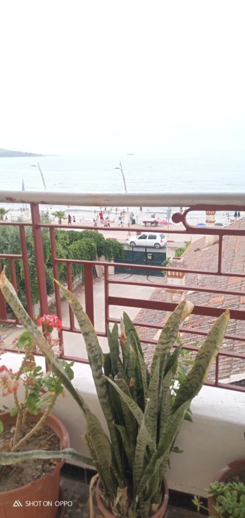 Vente Appartement F4 Annaba Annaba