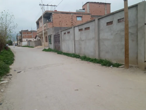 Vente Terrain Blida Ouled selama
