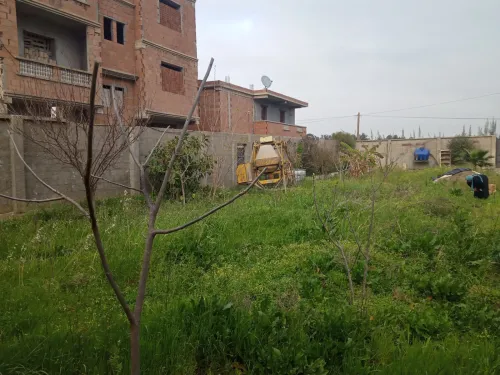 Vente Terrain Blida Ouled selama