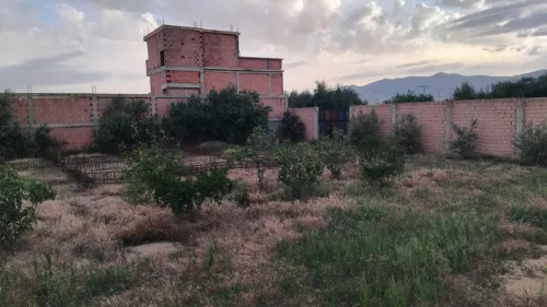 Vente Terrain Aïn Defla Ain defla