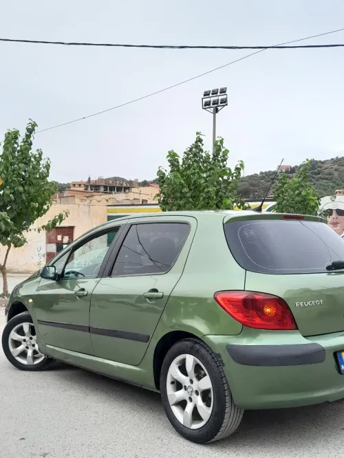 Peugeot 307 2006 Oxygo